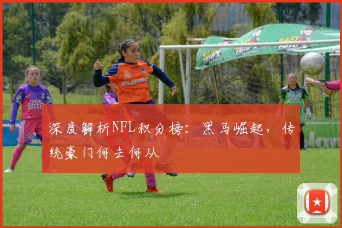 深度解析NFL积分榜:黑马崛起,传统豪门何去何从