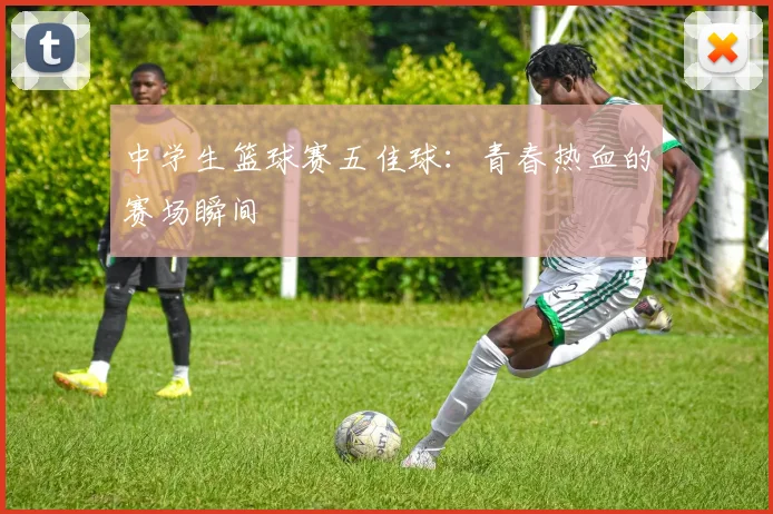 中学生篮球赛五佳球:青春热血的赛场瞬间