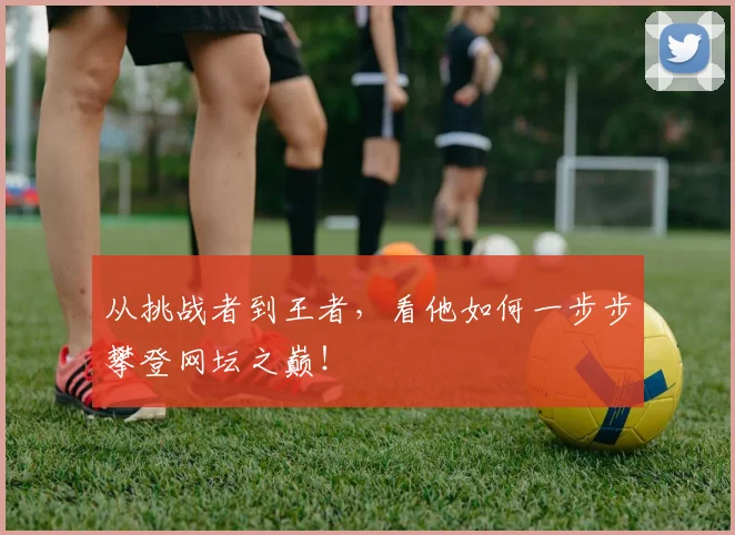 从挑战者到王者，看他如何一步步攀登网坛之巅！