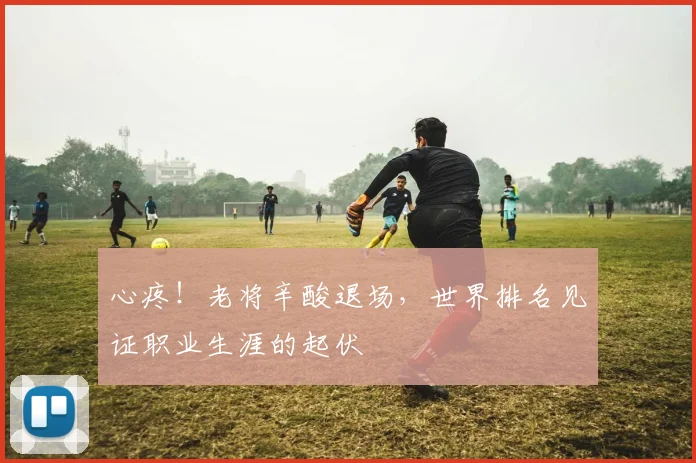 心疼！老将辛酸退场，世界排名见证职业生涯的起伏